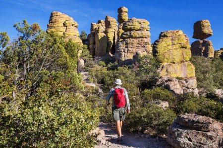 Photo for Men hiking  in the Chiricahua National Monument, Arizona, USA - Royalty Free Image