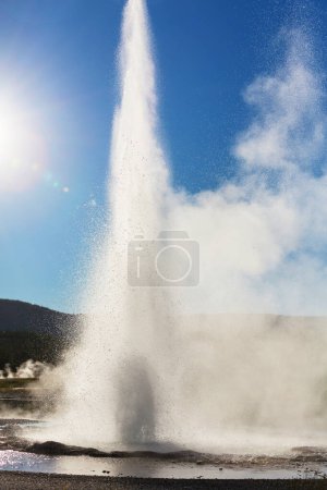 Foto de Old Faithful geyser eruption in Yellowstone National Park, Estados Unidos - Imagen libre de derechos