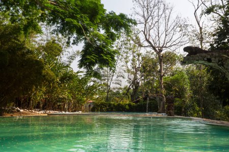 Photo for Luna Jaguar Hot Springs in Honduras - Royalty Free Image