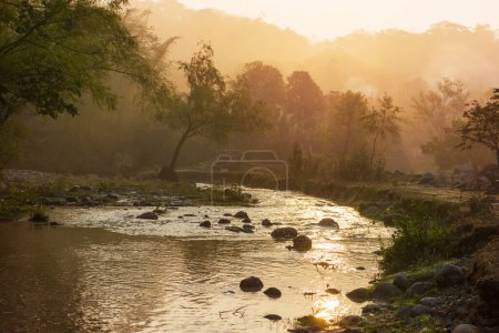 Téléchargez les photos : Belle rivière au matin brumeux - en image libre de droit