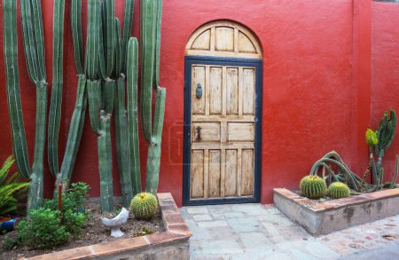 Photo for Wooden door and lots of cacti in front. Typical intense colors in the architecture in Guanajuato, Mexico. - Royalty Free Image
