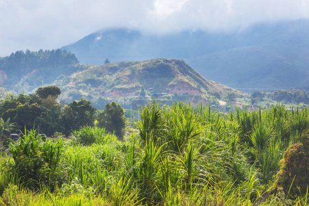 Photo for Rural landscapes in green colombian mountains - Royalty Free Image