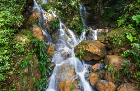 Photo for Beautiful waterfall in green jungle, Colombia, South America - Royalty Free Image
