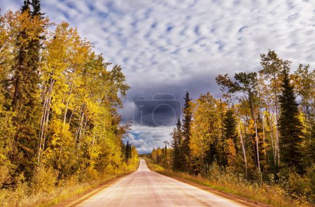 Photo for Colorful Autumn scene on countryside road in the forest - Royalty Free Image