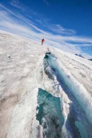 Photo for Man in hike in the giant glacier in Canada - Royalty Free Image