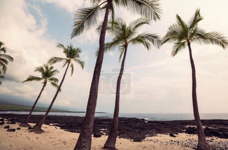 Téléchargez les photos : Paysages tropicaux sur l'île d'Hawaï - en image libre de droit