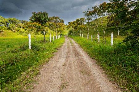 Téléchargez les photos : Route rurale en Colombie, Amérique du Sud - en image libre de droit