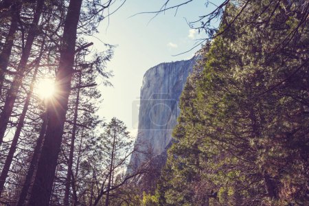 Foto de Hermosos paisajes del Parque Nacional Yosemite, California - Imagen libre de derechos