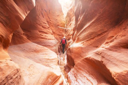Téléchargez les photos : Canyon à sous dans le Grand Staircase Escalante National Park, Utah, États-Unis. Des formations de grès colorées inhabituelles dans les déserts de l'Utah sont une destination populaire pour les randonneurs. - en image libre de droit
