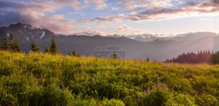 Téléchargez les photos : Panorama du magnifique sommet montagneux de la chaîne des Cascades du Nord, Washington, États-Unis - en image libre de droit