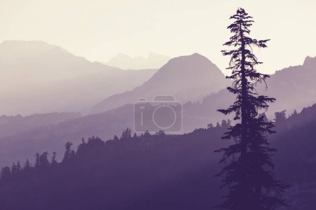 Téléchargez les photos : Silhouette de montagne au lever du soleil au printemps - en image libre de droit