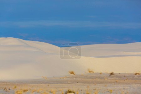 Photo for Unusual natural landscapes in White Sands National Monument,  New Mexico, USA - Royalty Free Image