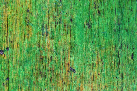 Téléchargez les photos : Fond texture bois brun, cortex d'araucaria - en image libre de droit