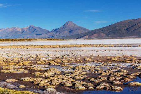 Téléchargez les photos : Paysages montagneux insolites en Bolivie altiplano voyage aventure Amérique du Sud - en image libre de droit