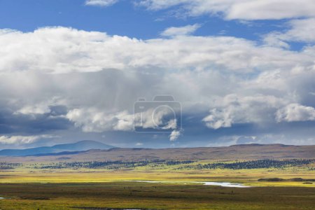 Photo for Tundra landscapes above Arctic circle - Royalty Free Image
