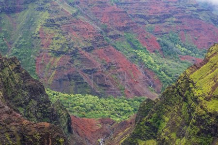 Photo for Waimea canyon, Kauai island, Hawaii - Royalty Free Image