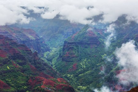 Téléchargez les photos : Canyon de Waimea, île de Kauai, Hawaï - en image libre de droit