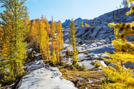 Foto de Caminata en las montañas de otoño. Tema temporada otoño. - Imagen libre de derechos