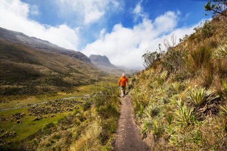 Téléchargez les photos : Randonneur en haute montagne en Colombie, Amérique du Sud - en image libre de droit