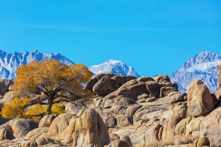 Photo for Unusual stone formations in Alabama hills, California, USA - Royalty Free Image