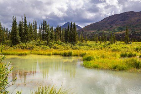 Foto de Lago de la serenidad en la tundra de Alaska. - Imagen libre de derechos