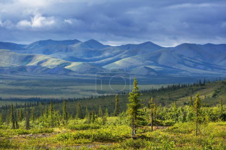 Tundra landscapes above Arctic circle