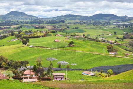 Téléchargez les photos : Paysages ruraux verts dans les montagnes colombiennes, Amérique du Sud - en image libre de droit