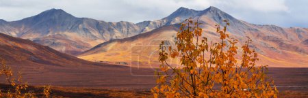 Photo for Picturesque Mountains of Alaska in autumn. Snow covered massifs, glaciers and rocky peaks, orange trees. Beautiful natural background. - Royalty Free Image