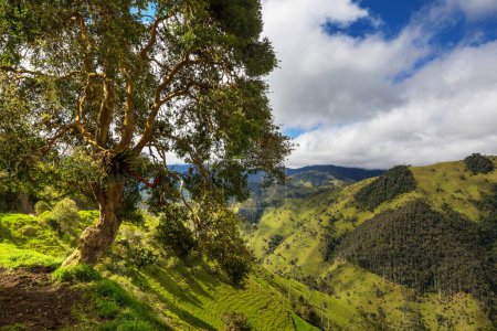 Téléchargez les photos : Paysages ruraux dans les montagnes verdoyantes colombiennes - en image libre de droit