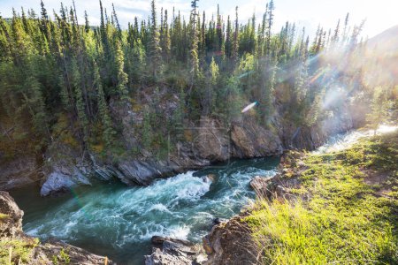 Téléchargez les photos : Beautiful mountains river in summer season, Canada - en image libre de droit