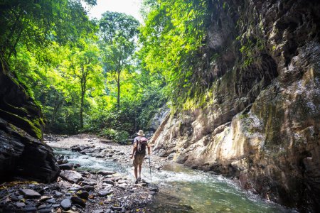 Téléchargez les photos : Homme en randonnée dans le canyon de la fente en Colombie, Amérique du Sud - en image libre de droit