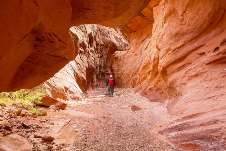 Photo for Slot canyon in Grand Staircase Escalante National park, Utah, USA. Unusual colorful sandstone formations in deserts of Utah are popular destination for hikers. - Royalty Free Image