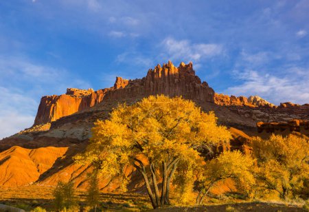 Téléchargez les photos : Paysages naturels inhabituels en automne dans le parc national du récif du Capitole, Utah - en image libre de droit