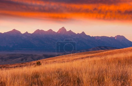 Photo for Grand Teton National Park, Wyoming, USA. - Royalty Free Image