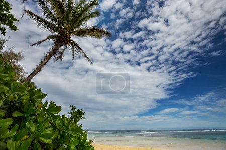 Téléchargez les photos : Incroyable plage hawaïenne dans la journée ensoleillée - en image libre de droit