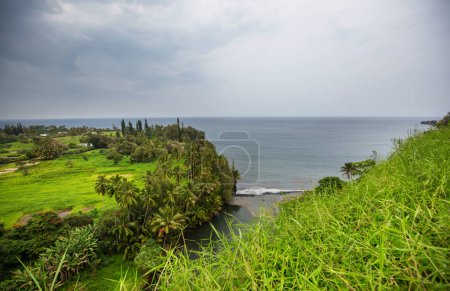 Téléchargez les photos : Paysages tropicaux sur l'île d'Hawaï - en image libre de droit