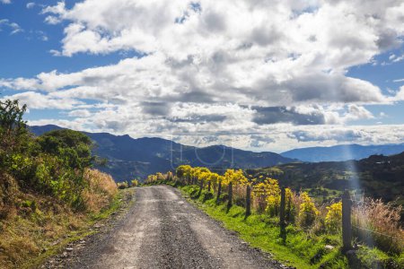 Téléchargez les photos : Route rurale en Colombie, Amérique du Sud - en image libre de droit