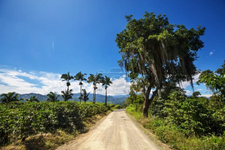 Foto de Camino rural en Colombia, América del Sur - Imagen libre de derechos