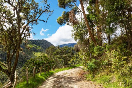 Foto de Camino rural en Colombia, América del Sur - Imagen libre de derechos