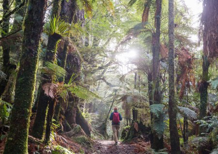 Téléchargez les photos : Randonnées pédestres et tramping en Nouvelle Zélande. Concept de voyage et d'aventure - en image libre de droit