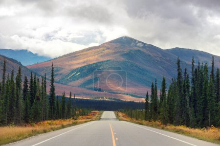 Photo for Highway in Alaska, United States - Royalty Free Image