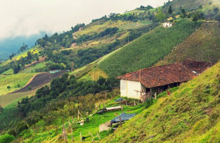 Foto de Paisajes rurales verdes en las montañas colombianas, América del Sur - Imagen libre de derechos