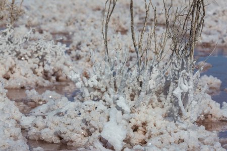 Téléchargez les photos : Salt pond in the Baja California, Mexico - en image libre de droit