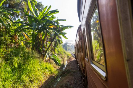 Photo for Train on most picturesque train road in Sri Lanka - Royalty Free Image