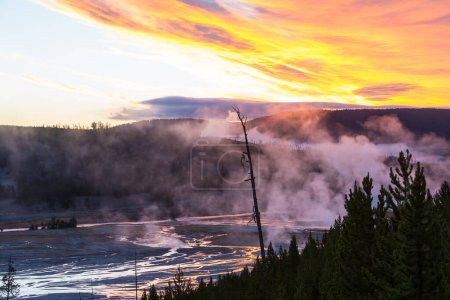 Téléchargez les photos : Un fond naturel inspirant. Piscines et champs de geysers à Yellowstone National Park, États-Unis. - en image libre de droit