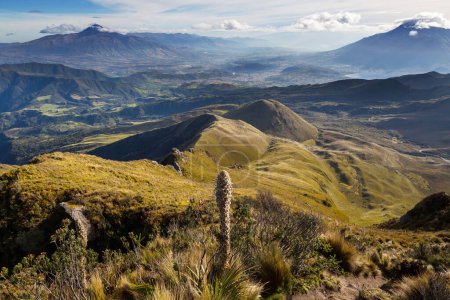 Foto de Hermoso paisaje de alta montaña en Ecuador, América del Sur - Imagen libre de derechos