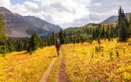 Téléchargez les photos : Belle saison d'automne dans les montagnes canadiennes. Fond d'automne. - en image libre de droit