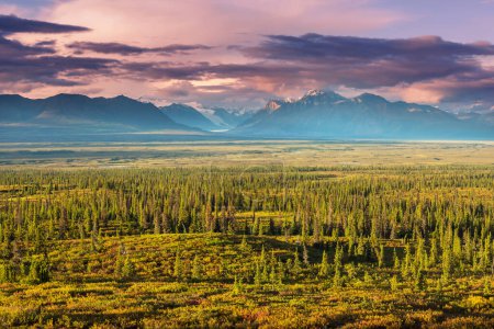 Foto de Picturesque Mountains of Alaska in autumn. Snow covered massifs, glaciers and rocky peaks, orange trees. Beautiful natural background. - Imagen libre de derechos