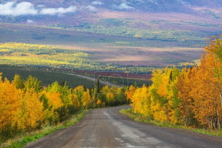Foto de Colorida escena de otoño en el camino rural en el bosque - Imagen libre de derechos