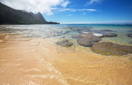 Photo for Beautiful scene in Tunnels Beach on the Island of Kauai, Hawaii, USA - Royalty Free Image
